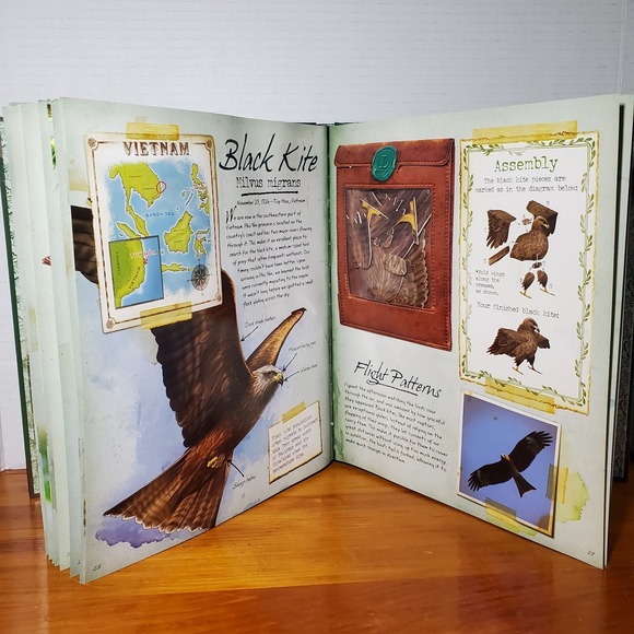 The Field Guide to Birds: Explore Southern Asia and Oceania (No Diorama) Book - Picture 6 of 14